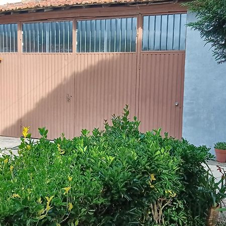 Casa Da Vovo Ceu - Casa De Campo Gandaresa - Country House, Entre Coimbra E Aveiro, A 15 Minutos Carro Praia Mira - Quintal Com Piscina Insuflavel カンタニェデ エクステリア 写真